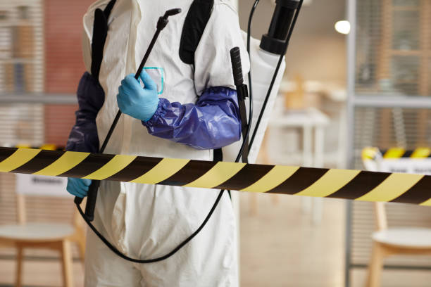 Professional Sewage Cleanup technician working in Lamar, MO